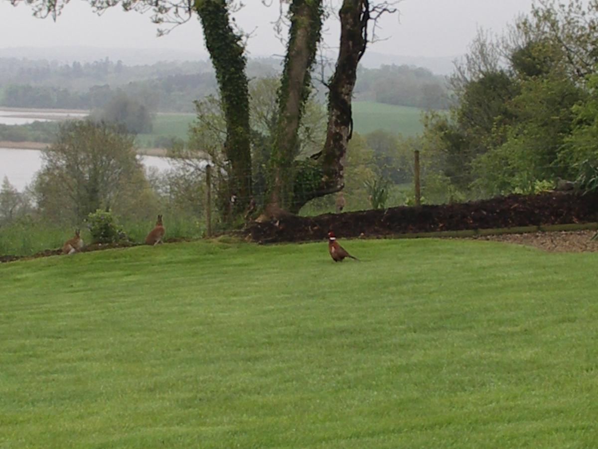 Willowbank House Enniskillen Bagian luar foto